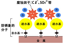 腐蚀因子：Cℓ-、SO42-等